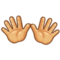 Open Hands emoji on Samsung